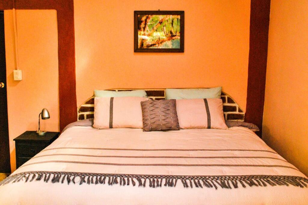 Hostal Casa 4 Estaciones, Coliving & Nature San Cristobal de las Casas Bagian luar foto