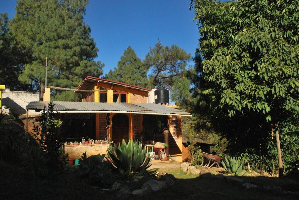 Hostal Casa 4 Estaciones, Coliving & Nature San Cristobal de las Casas Bagian luar foto